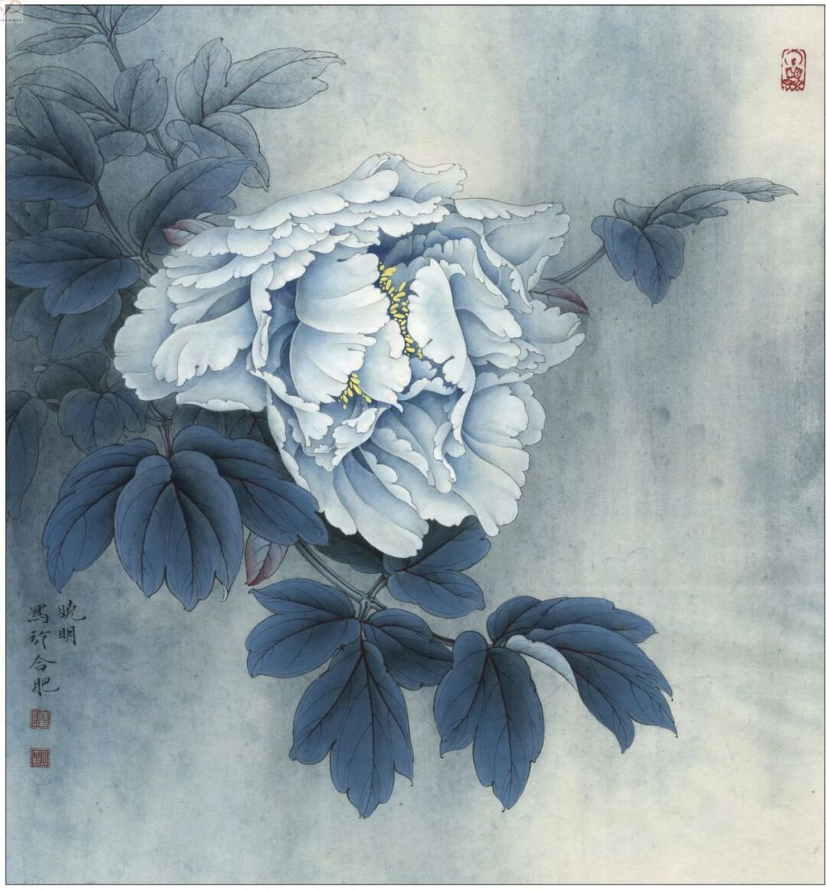 工笔画步骤分享牡丹《昆山夜光图》 《昆山夜光图》   尺寸:43×40cm