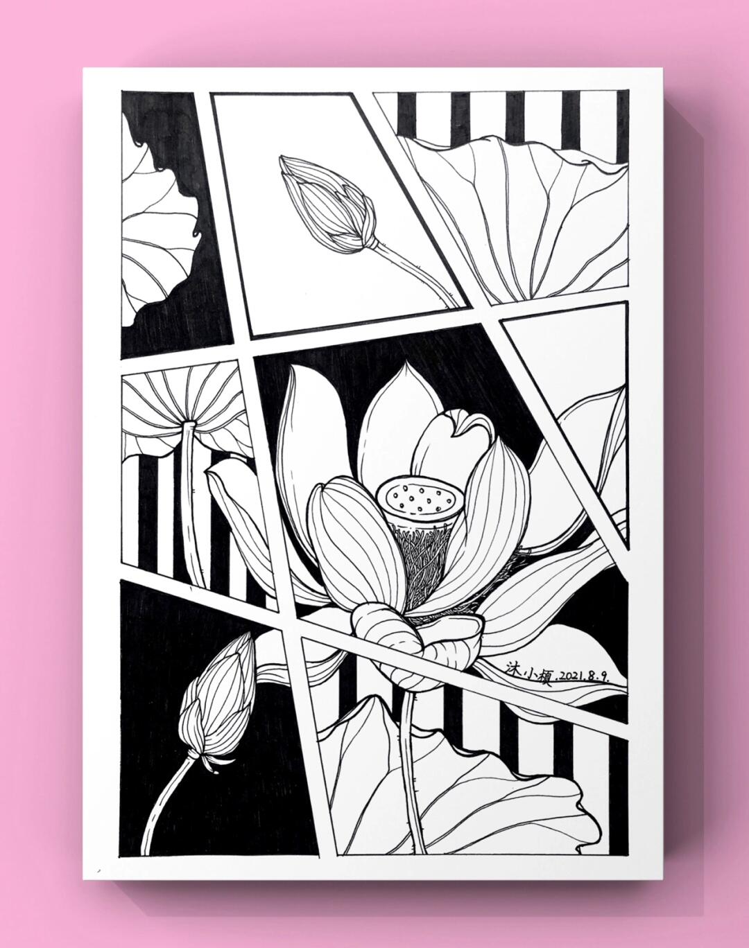 黑白线描装饰画|出水芙蓉