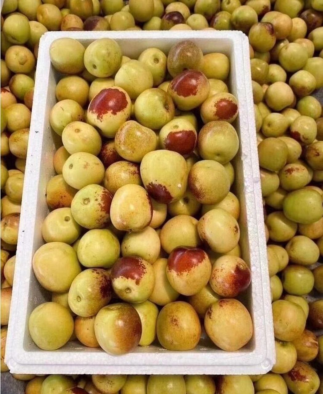 陕西特产,大荔冬枣! 俗话说的好:"南荔枝,北冬枣!大荔冬枣最好吃!