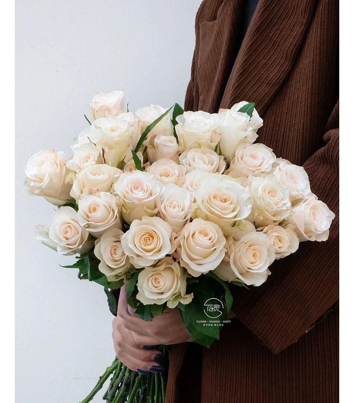 每天认识一种花--辛西娅玫瑰 辛西娅玫瑰 高颜值自带珠光感的玫瑰,无