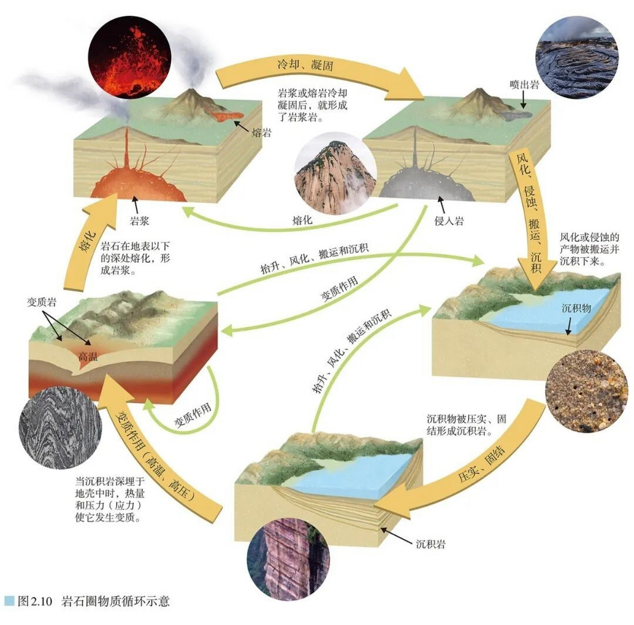 物质循环过程简图图片