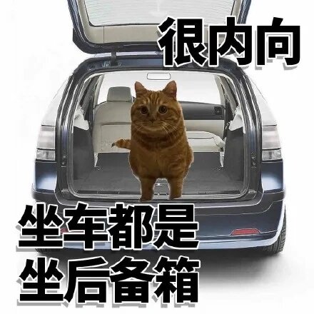 很内向,发组表情包都不敢让别人看到