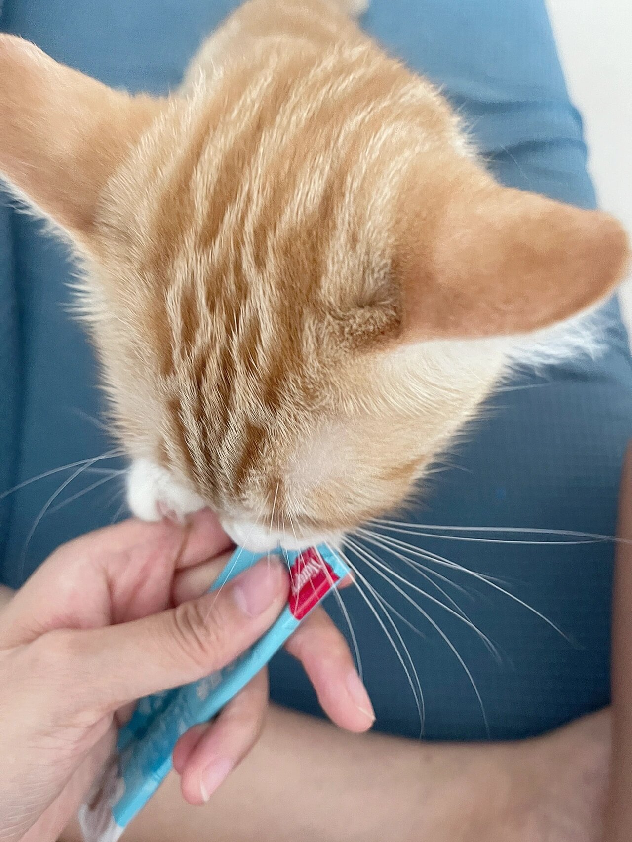 猫条 ~wanpy欧一吸强烈推荐 猫条wanpy原料组成水,鸡肉含百分之32.