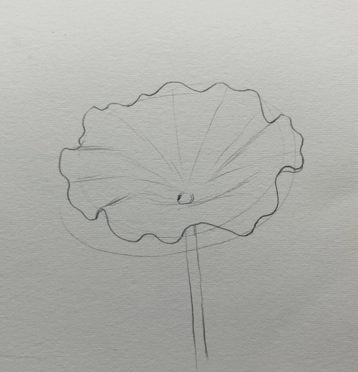 绿油油的荷叶(含详细绘画图)