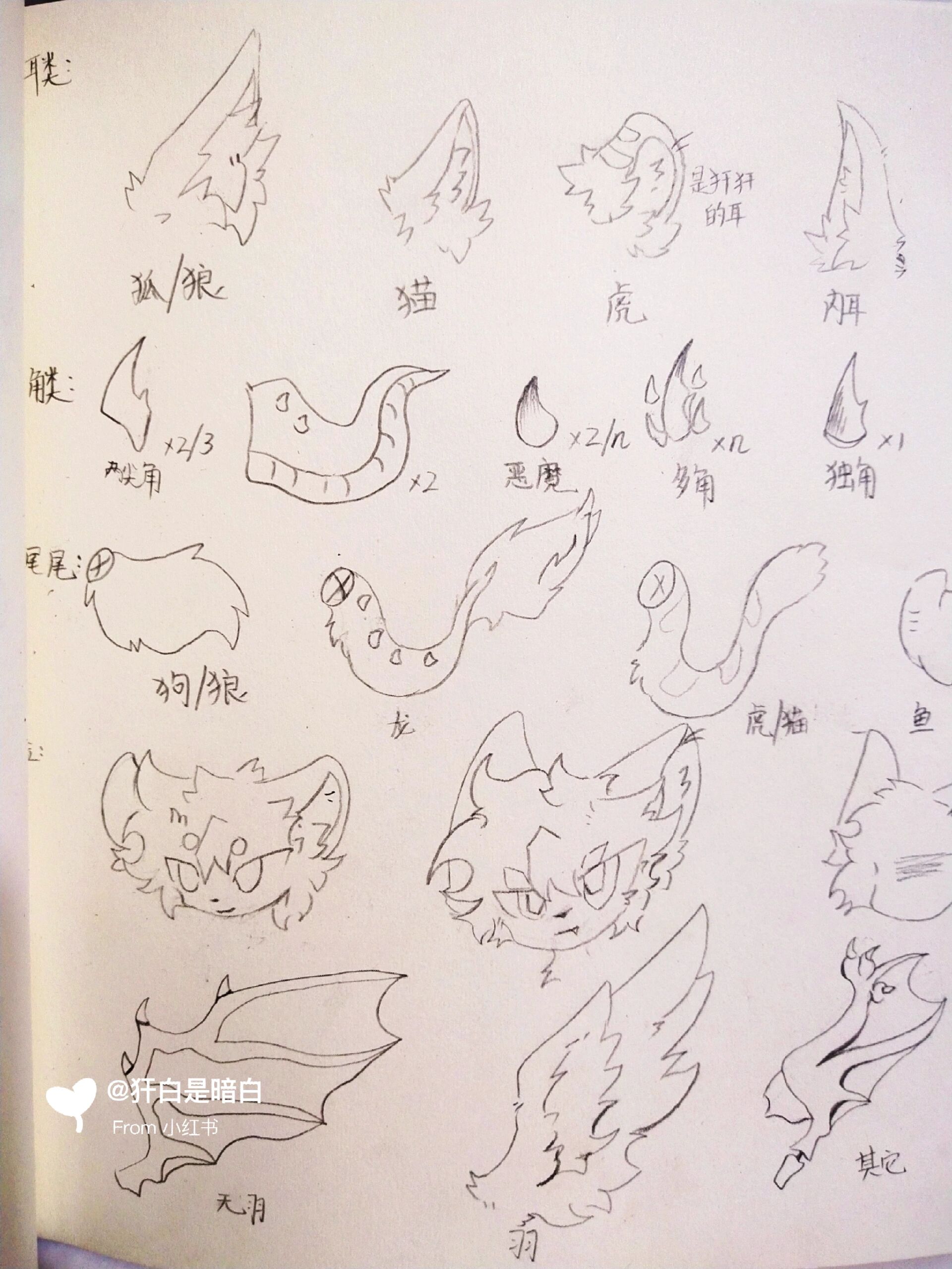 兽设素材! 后面是世界观生物      素材随便用