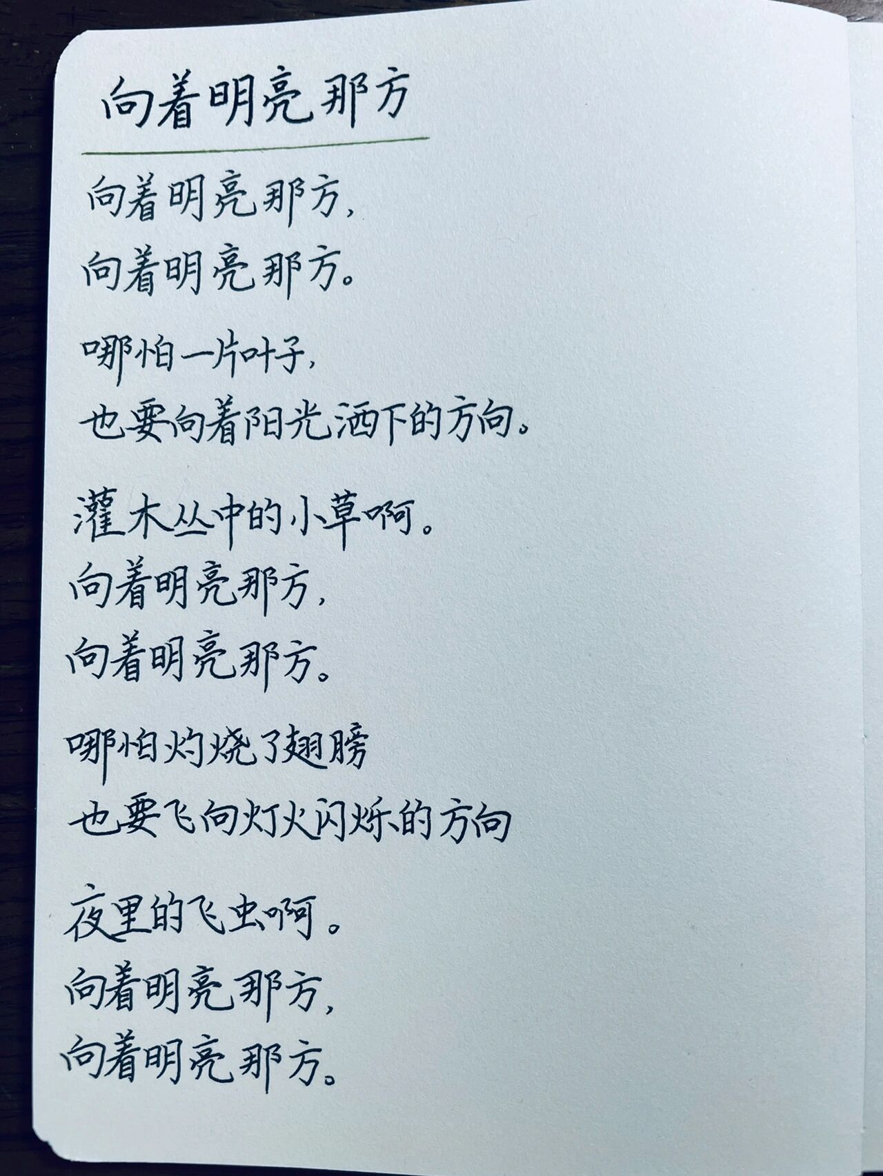 金子美玲的诗——《向着明亮那方》 金子美玲,日本天才女诗人,一生