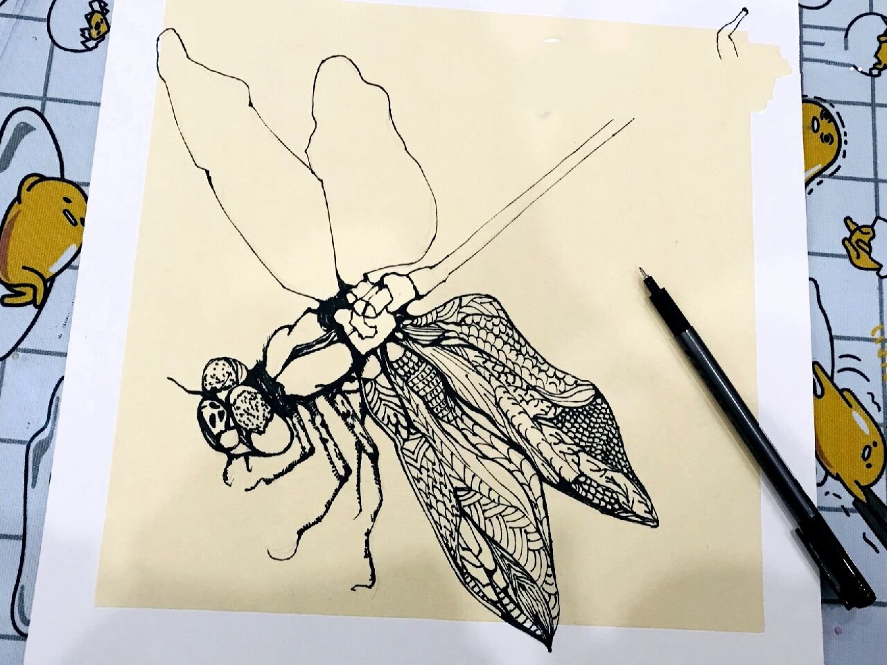 线描【昆虫记系列画】