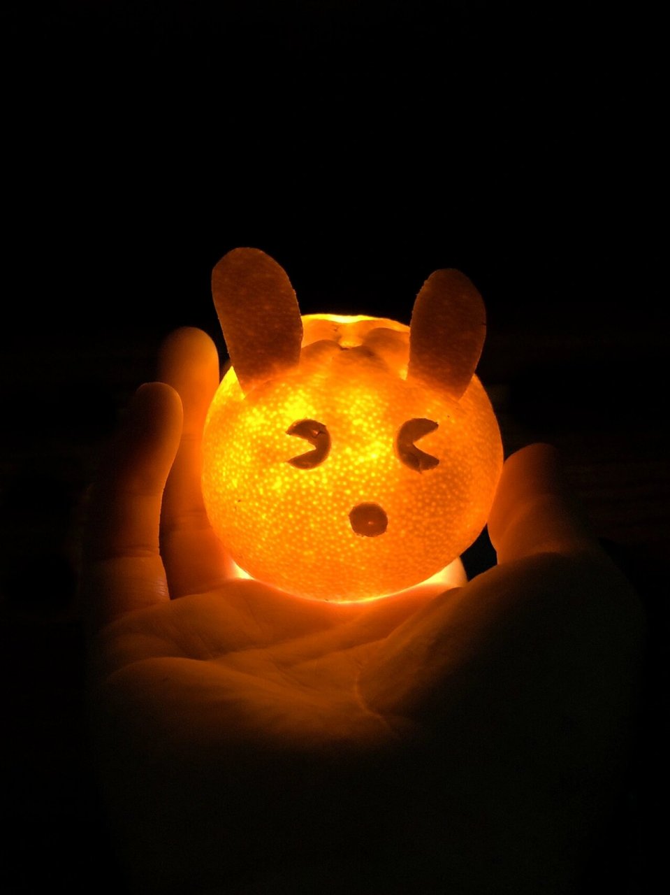 学会101种自然手工|如何制作中秋节橘兔灯?