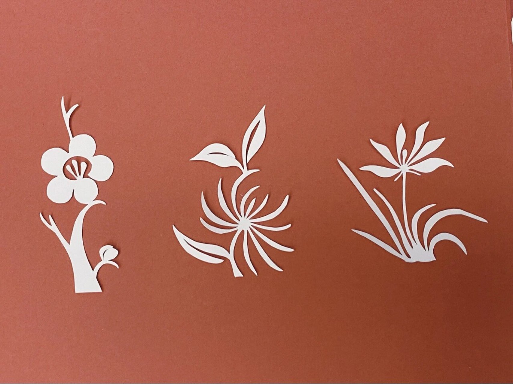 教程|学习剪纸【花朵的几种剪法】 脱稿剪纸的几种花朵剪法分享给大家