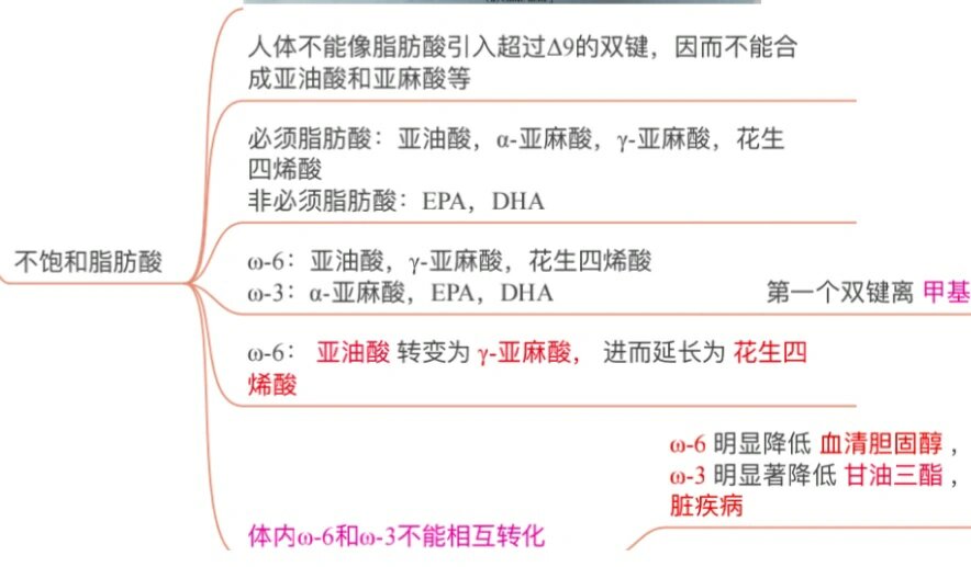 生物化学思维导图