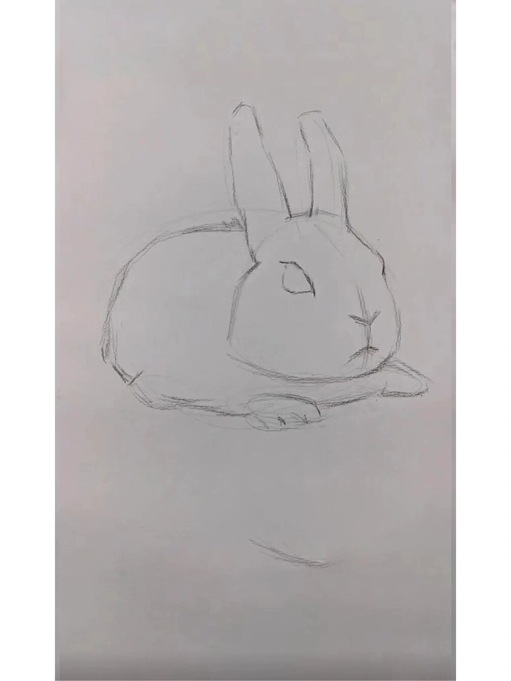 素描小兔子绘画步骤图