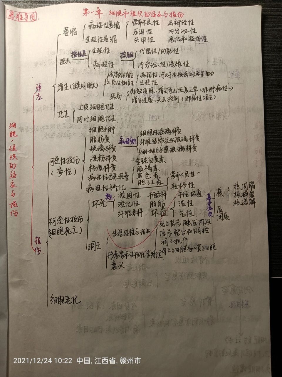 病理学思维导图 实验报告1      导图: 第1章 细胞和组织的适应与损伤