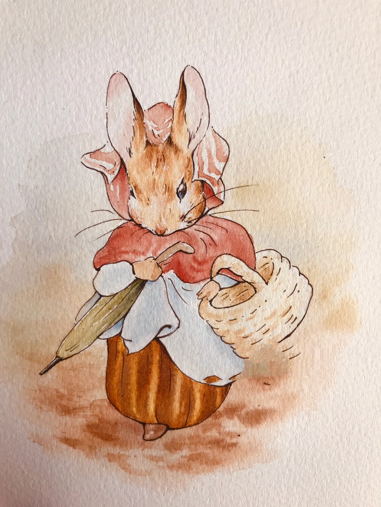 水彩插画,彼得兔,附线稿和过程图