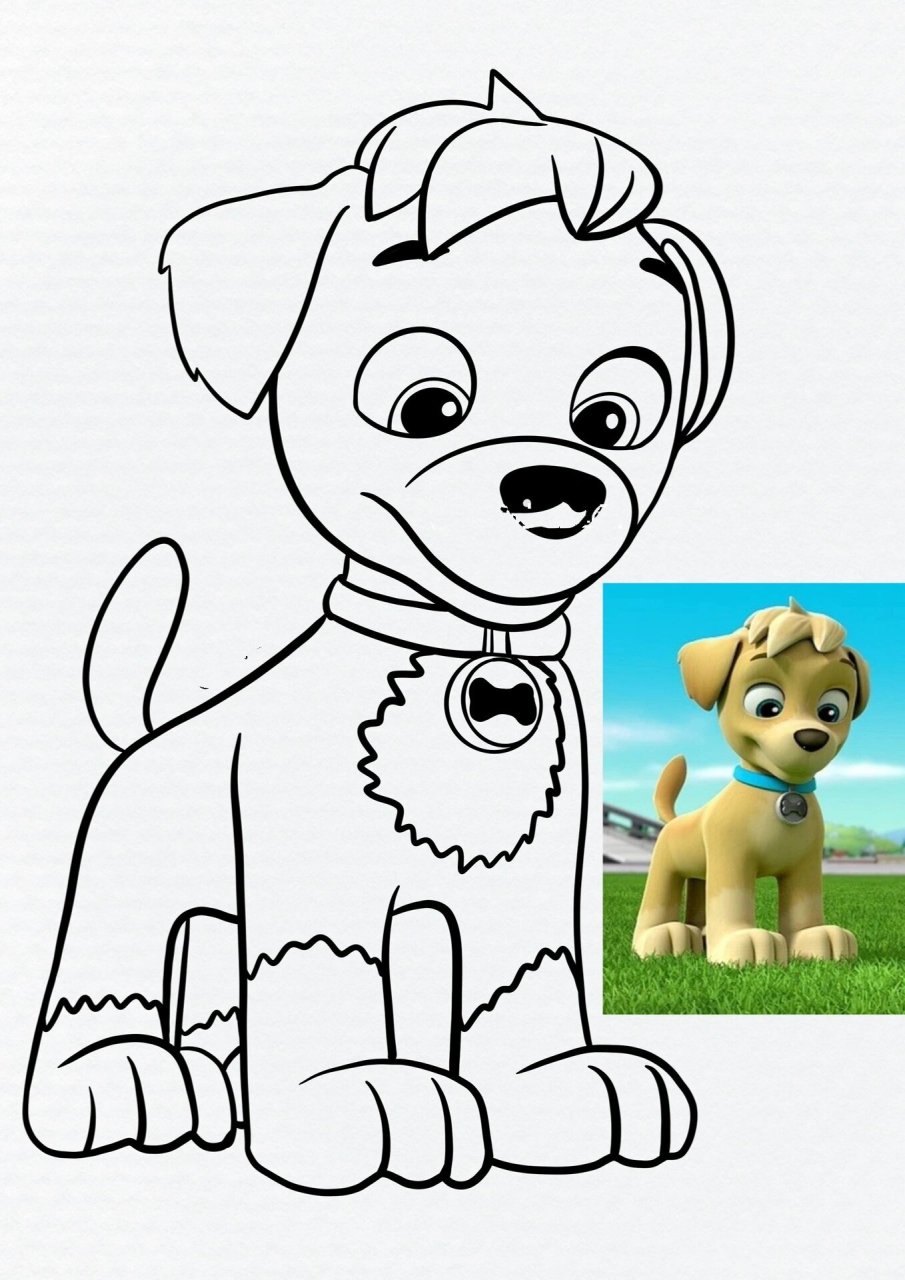 汪汪队立大功狗狗手绘集合,喜欢的宝子可自行下载,学习画画的去主页里