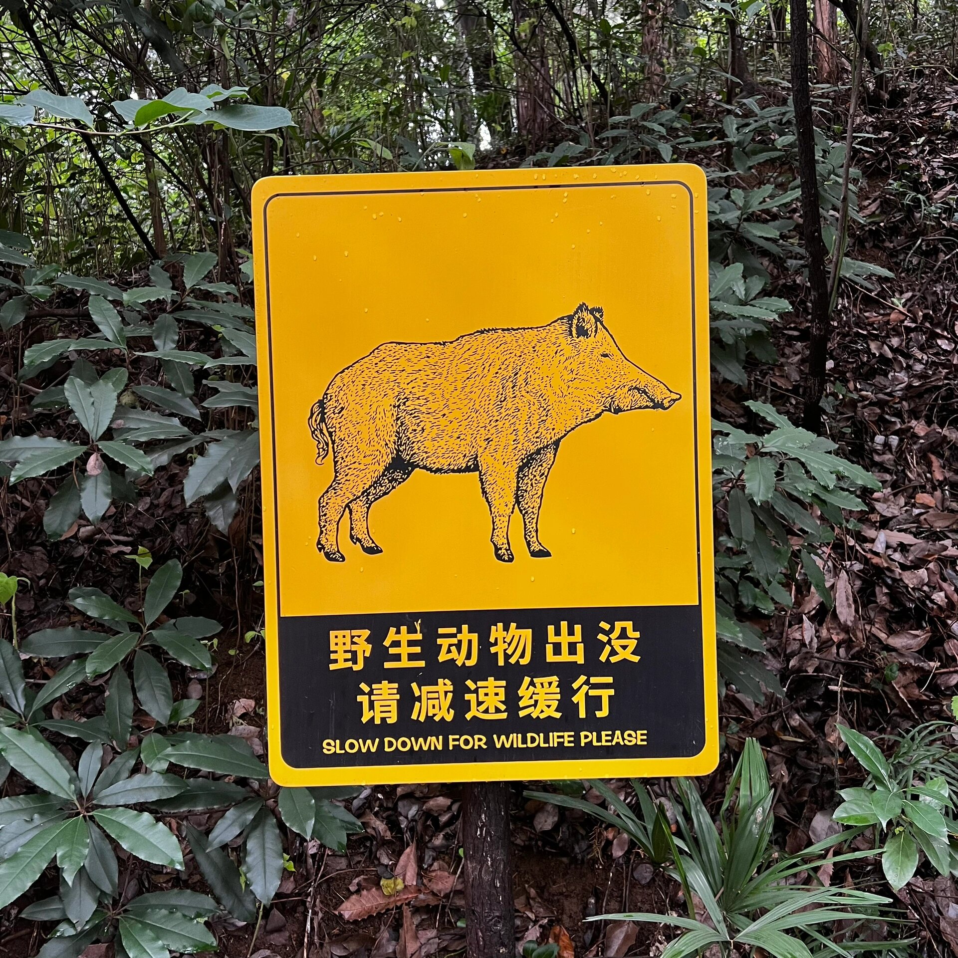 红山动物园的那些警示牌