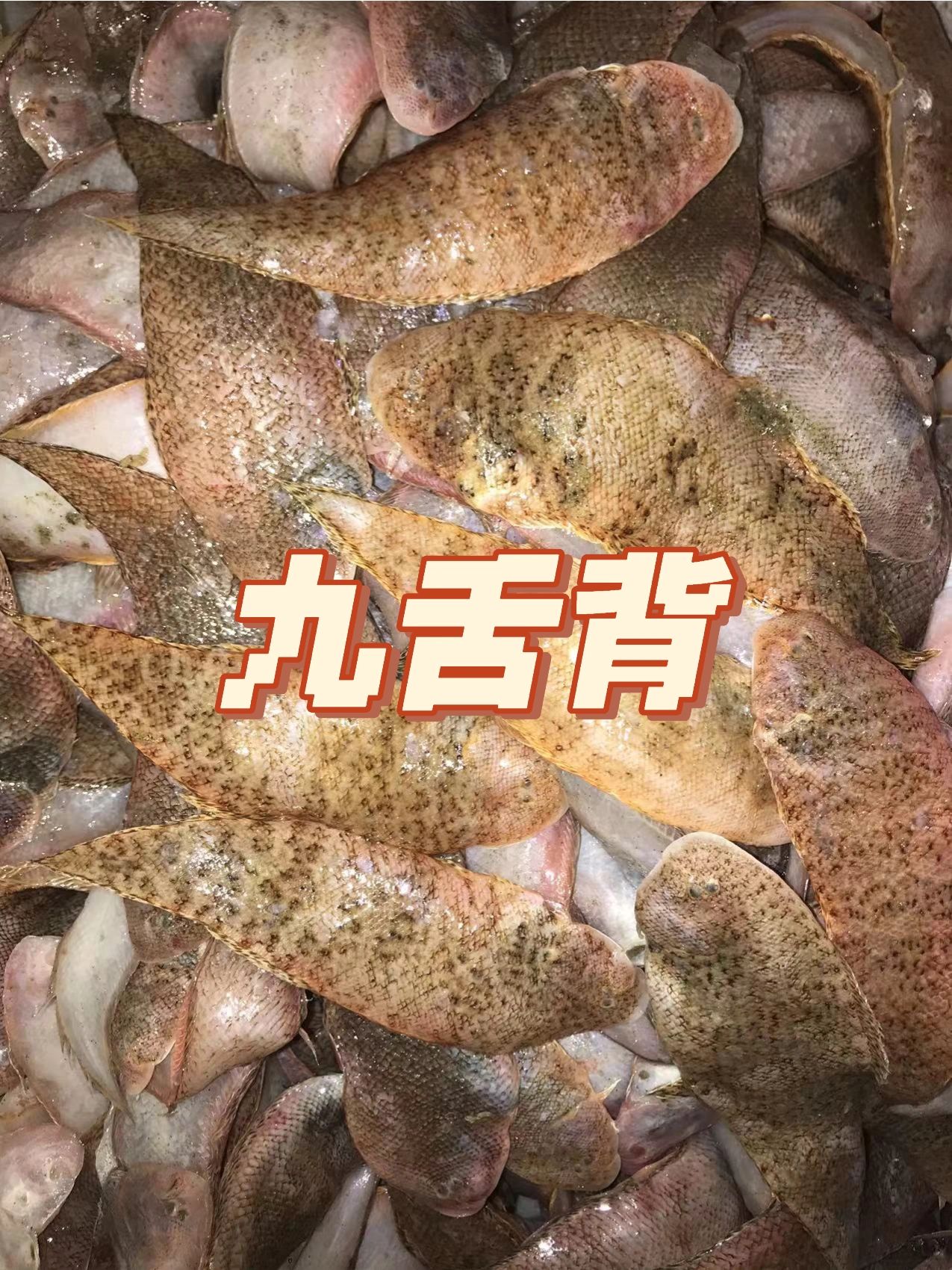 今日潮汕海鲜:乖鱼带着它的dudu来了!