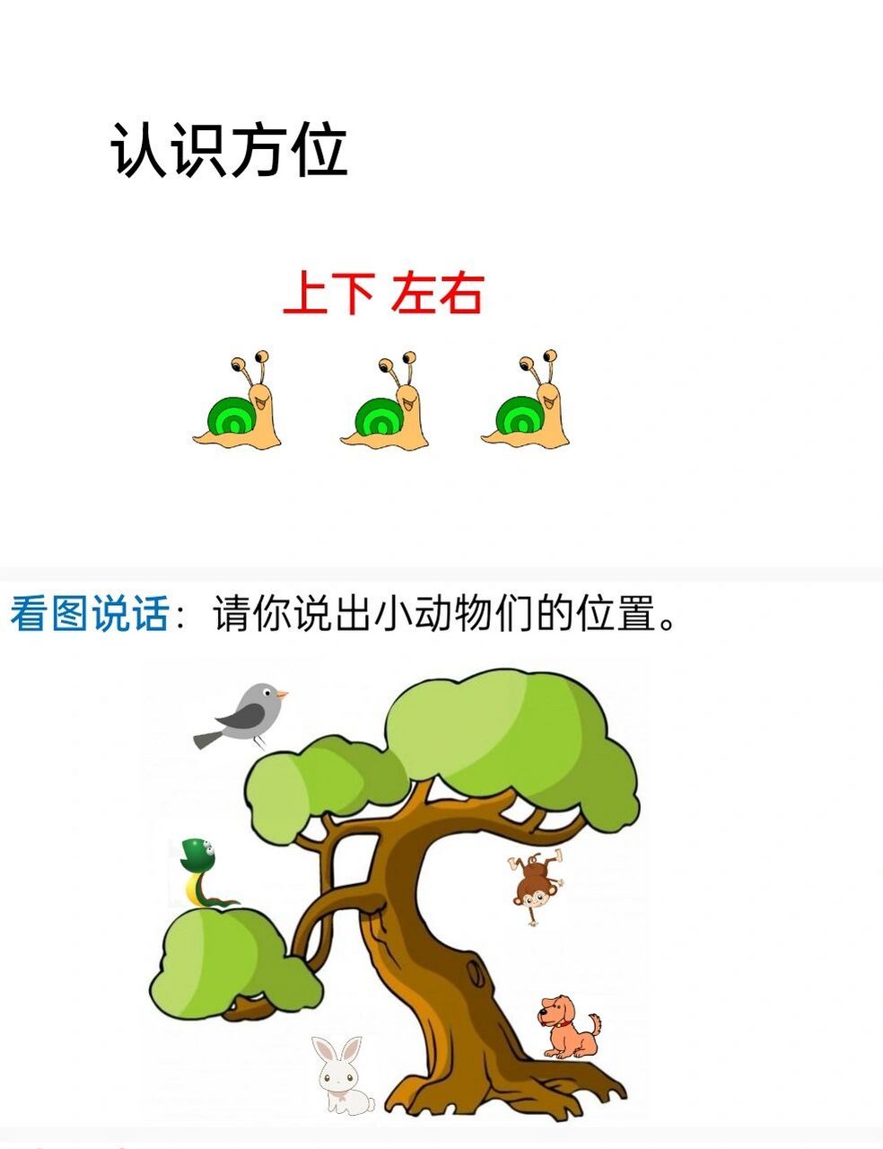 幼儿园认识方位公开课6015《认识上下左右》 96今天分享一节