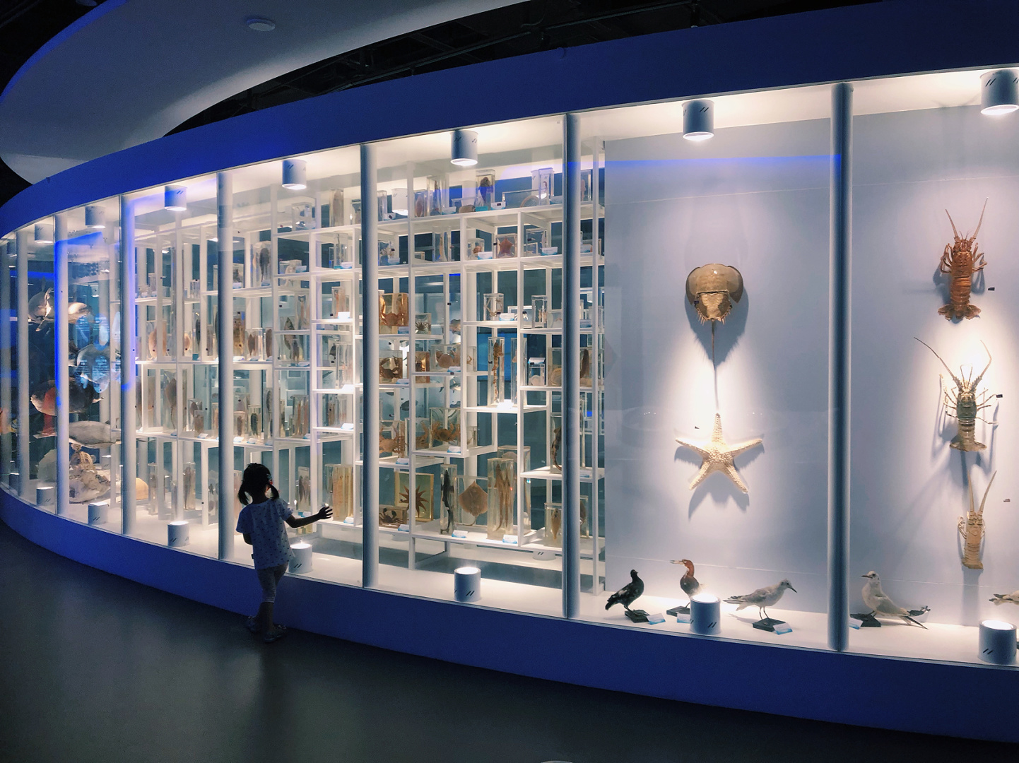 日照旅行最强攻略之日照海洋科普管 在朋友圈知道了这里,对于日照本地