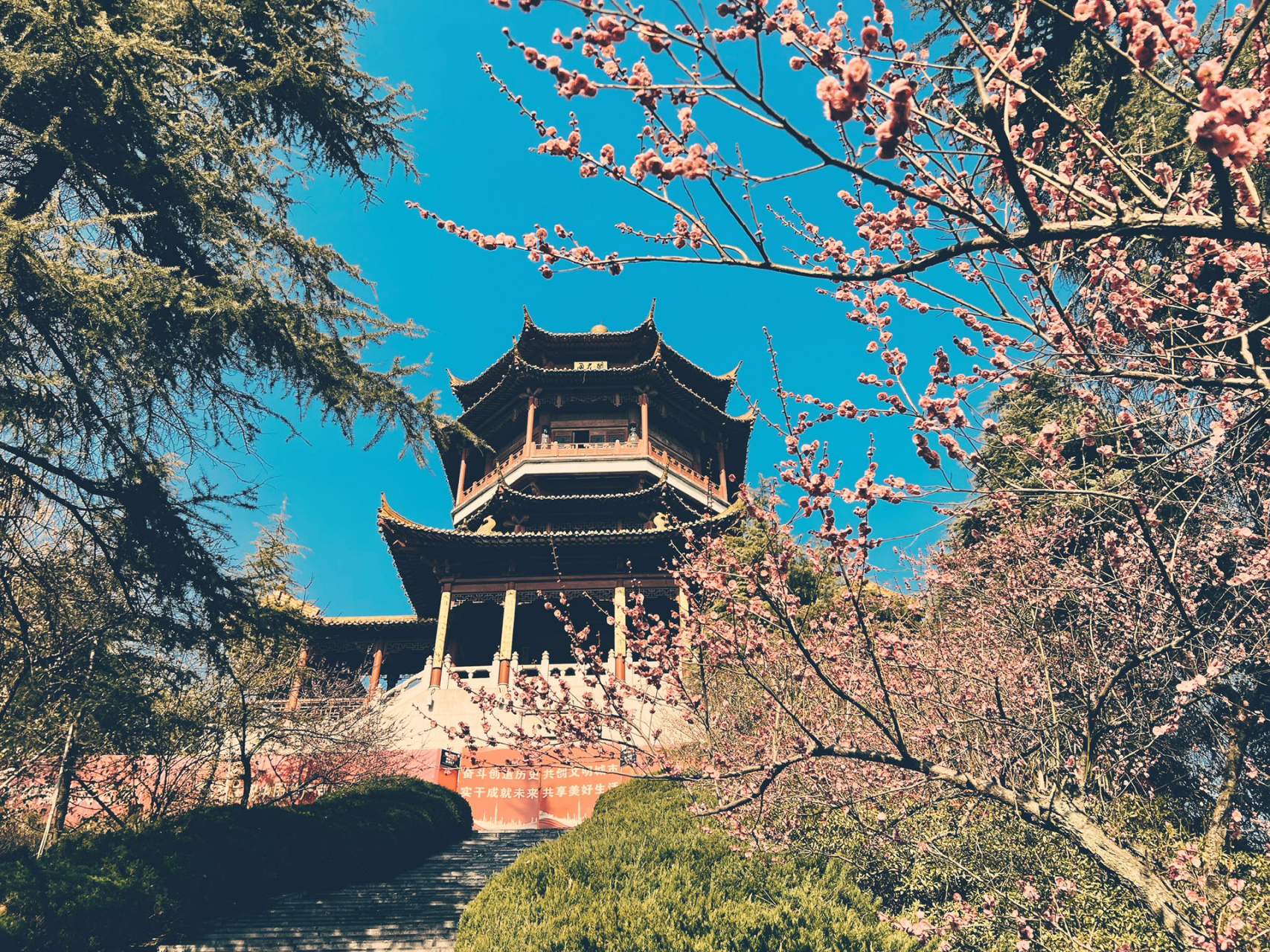 南京雨花台风景区 乘着闲暇之余来了雨花台风景区梅岗想去看看梅花,来