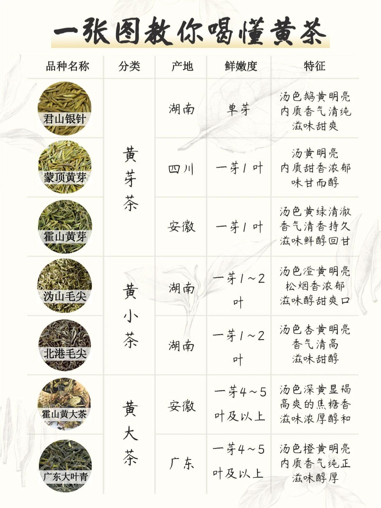 一张图教你喝懂黄茶73