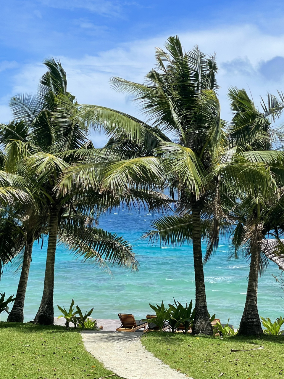 9796海岛生活 在瓦努阿图呆了一个月 爱上了当岛民的生活 	 每天