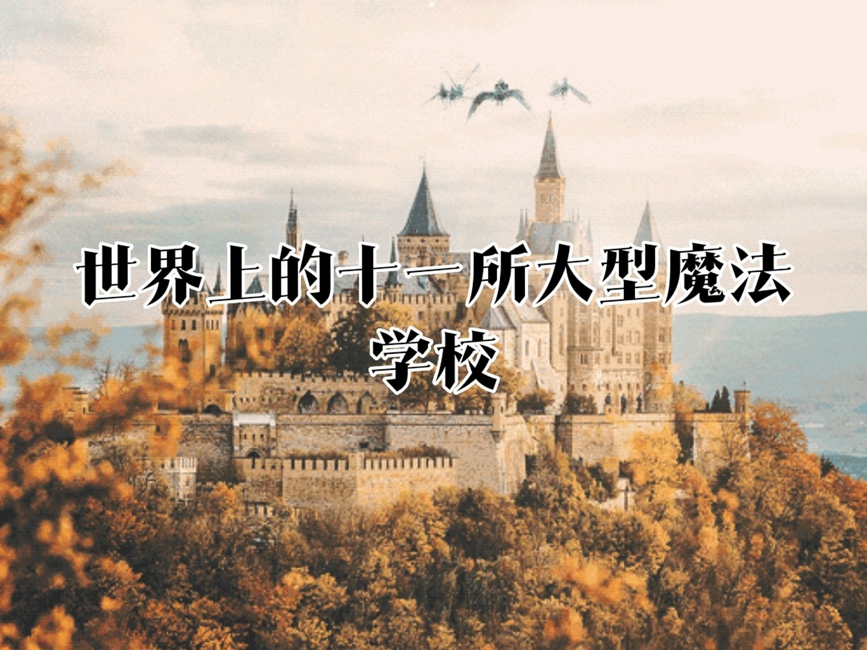 世界上的十一所大型魔法学校 罗琳说过,在魔法世界中公有十一所魔法
