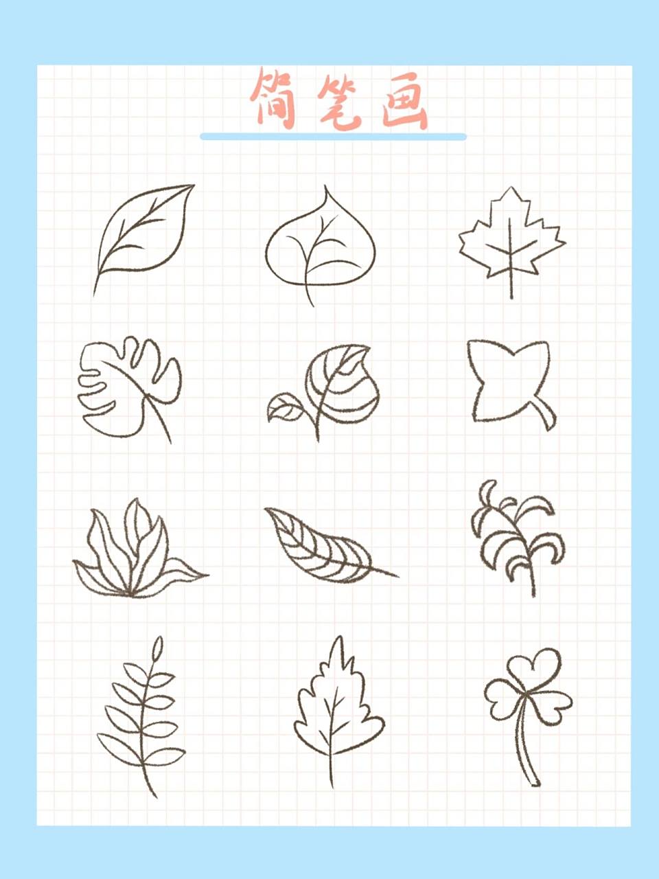 叶子简笔画