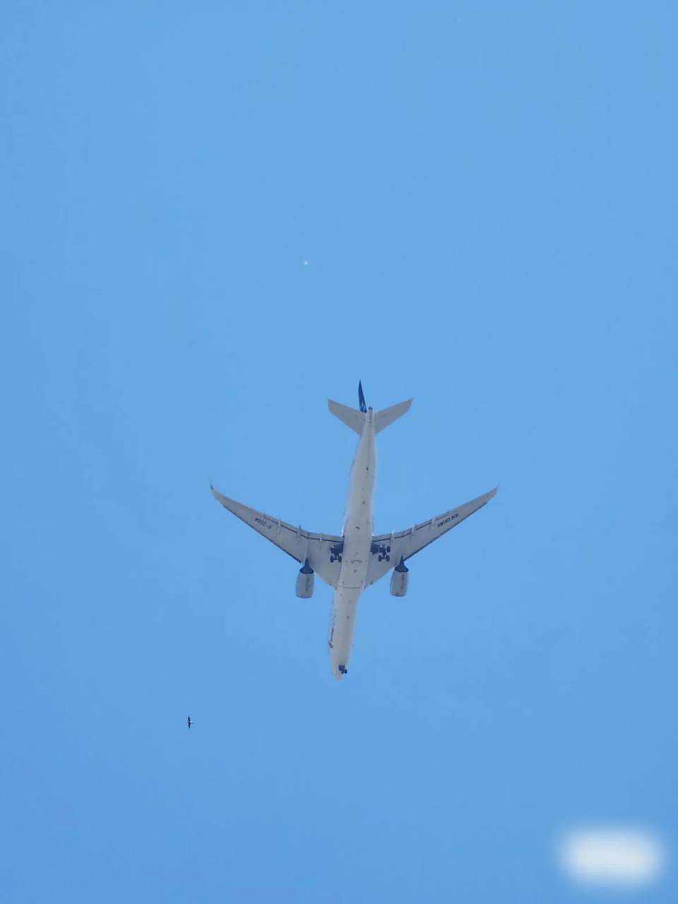 飞机从头顶飞过,随手一拍,以为手机上有黑东西