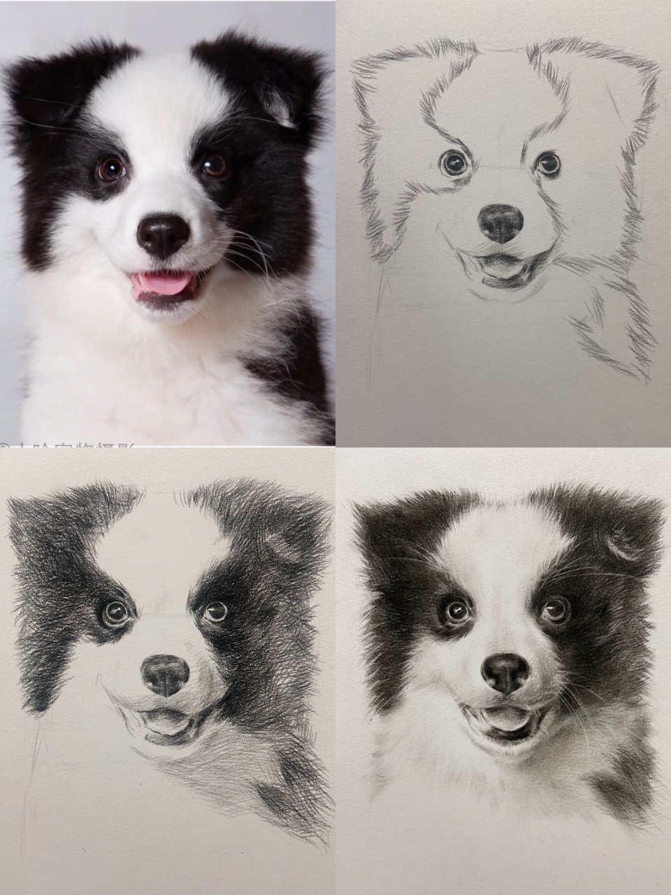 素描小狗图片简单画法图片