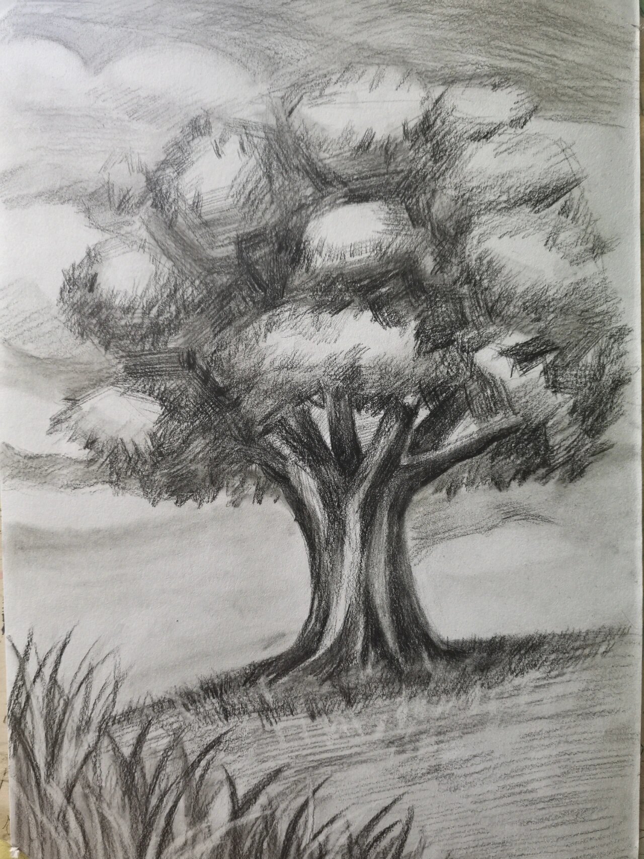 植树节主题画素描大树@三好学生小茗同学的动态