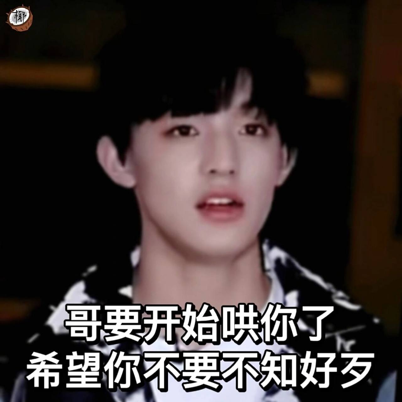 《n件事》十九表情包(张泽禹篇) 鲜活的孩子们,有着属于这个年龄的