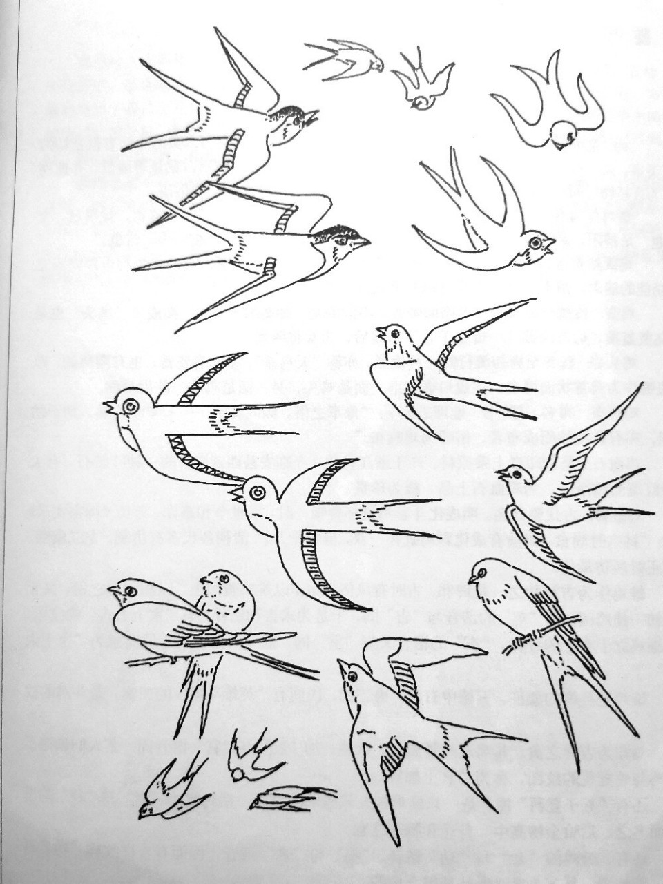 燕子怎么画才简单图片