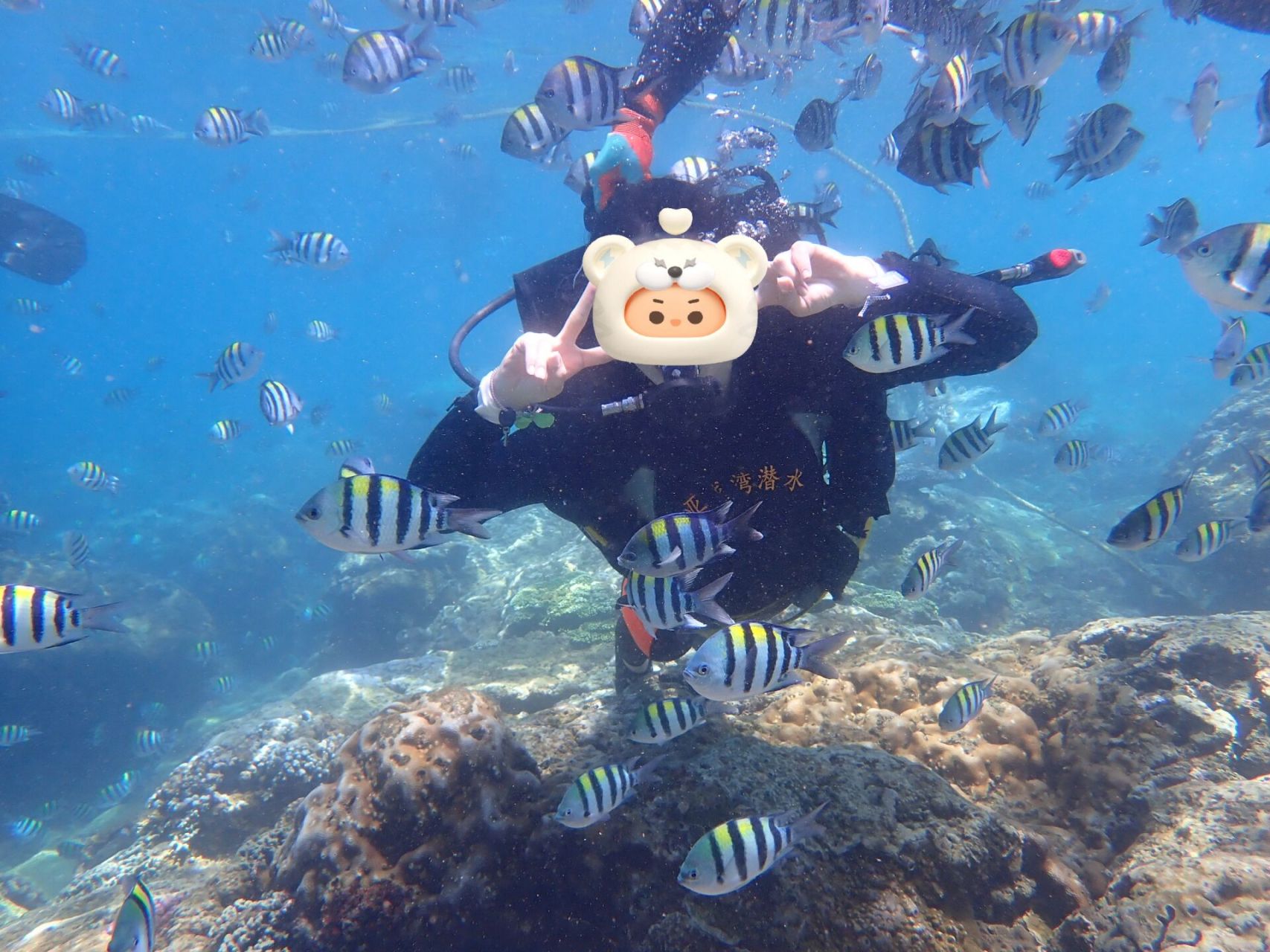 三亚亚龙湾潜水298元 |游玩攻略 嗨小伙伴们!