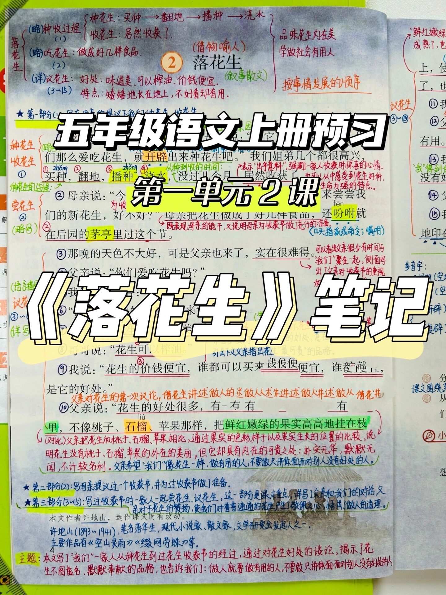 落花生学霸笔记图片图片