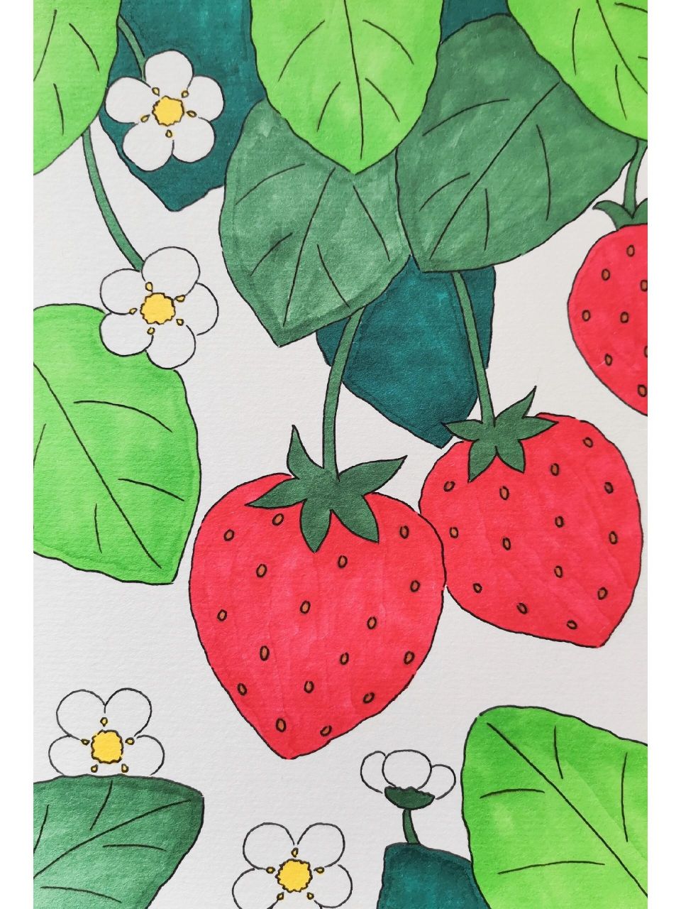 草莓简笔画图片带颜色图片