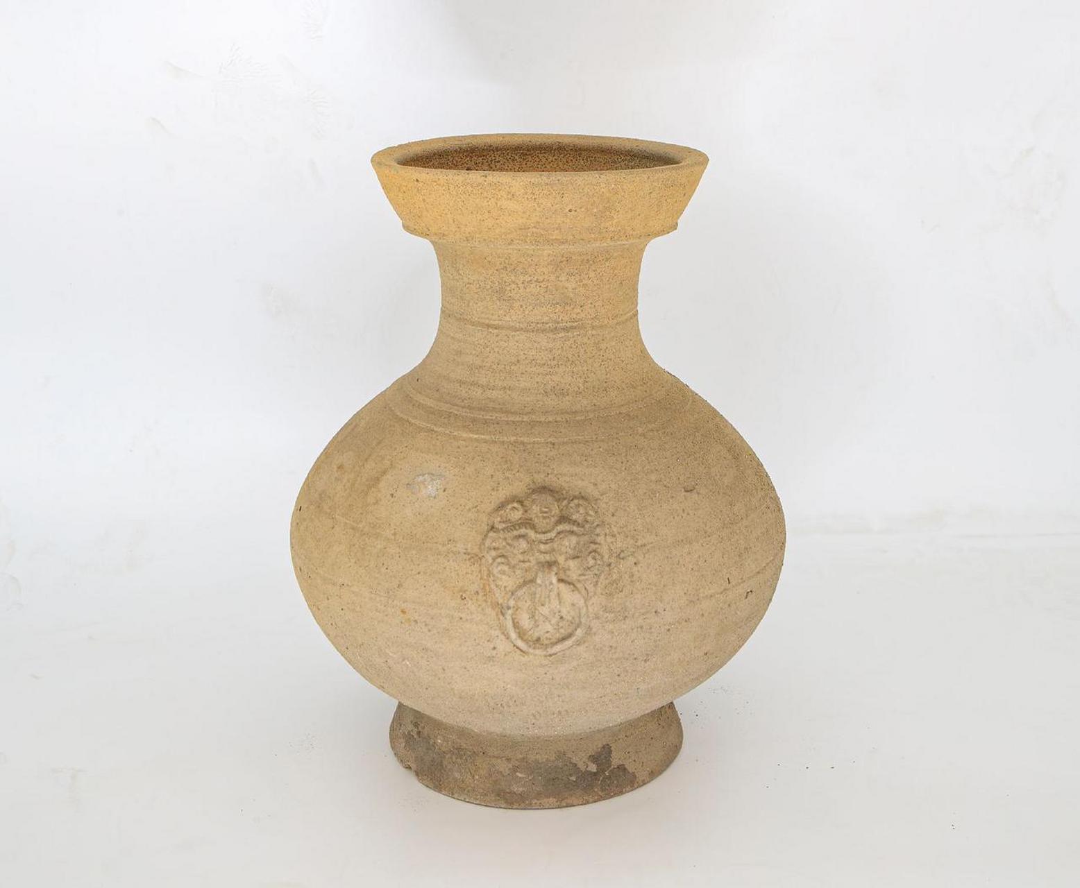 看看这颗佛牙,跟你见到的有没有区别 汶上 汶上佛牙  佛牙 汶上博物馆