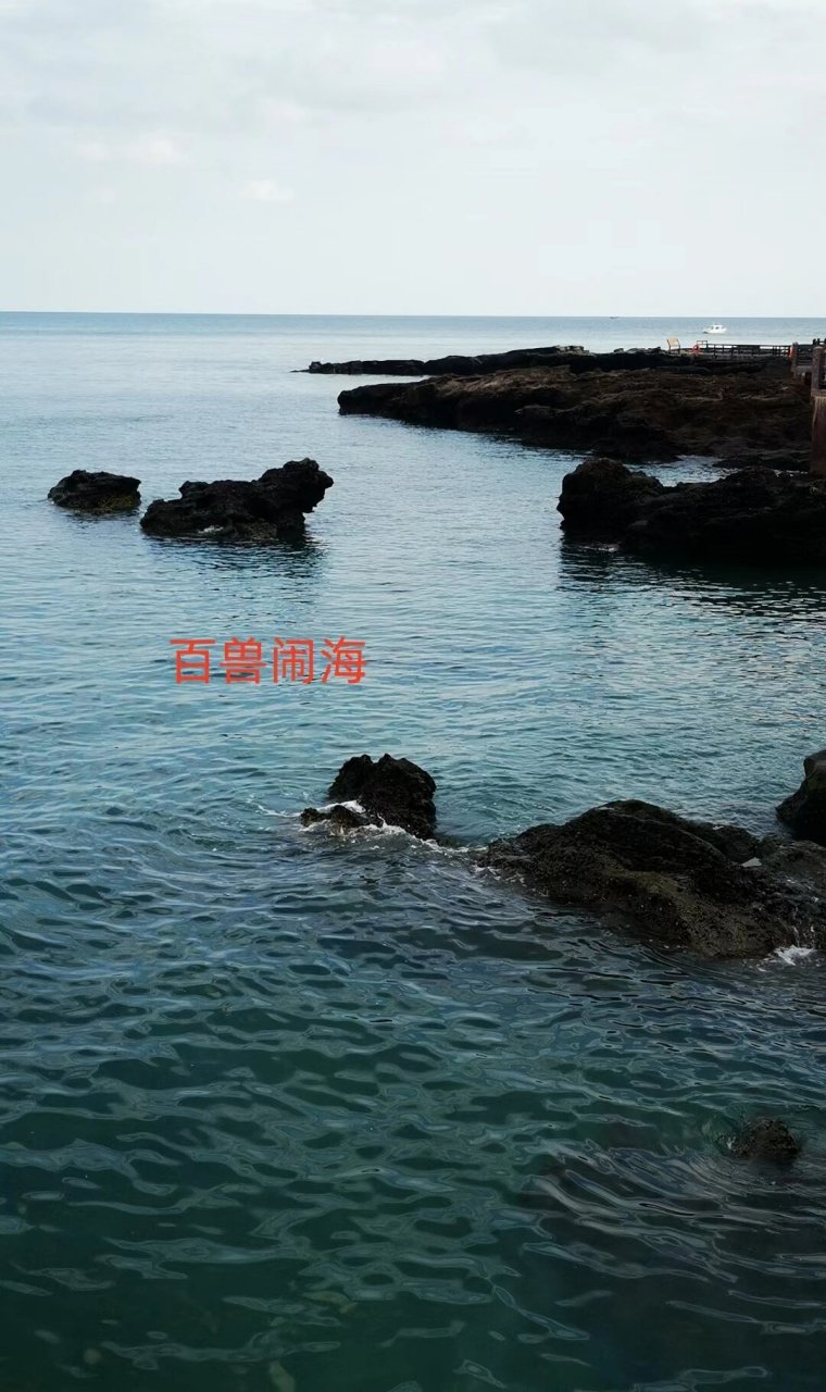 涠洲岛之鳄鱼山火山公园 鳄鱼山景区又叫鳄鱼山公园,位于涠洲岛南湾西