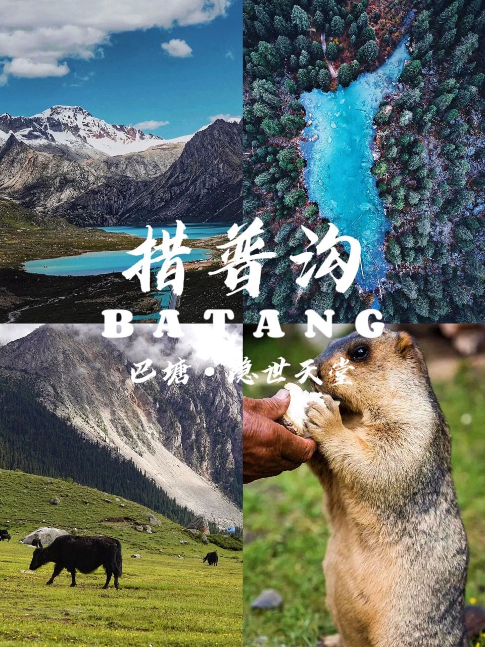 每天认识一个小众旅游景点丨巴塘·措普沟 93"如果说新都桥是摄影师