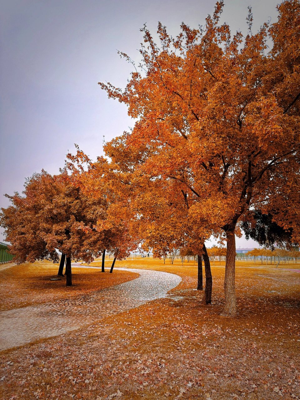 飞机爱好者的天堂-北京西湖园    北京西湖园是位于首都机场t3航站楼