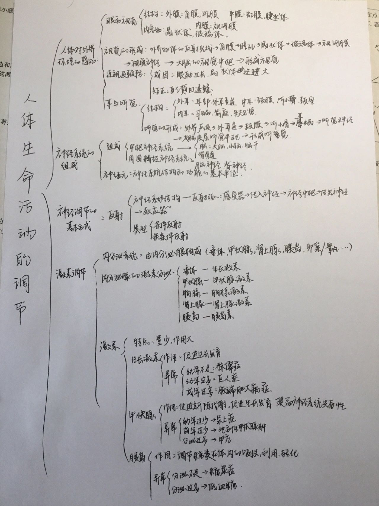 七年级第六章思维导图图片