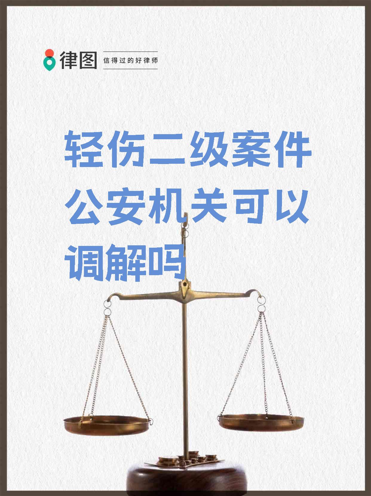 轻微伤派出所不调解会抓人吗
