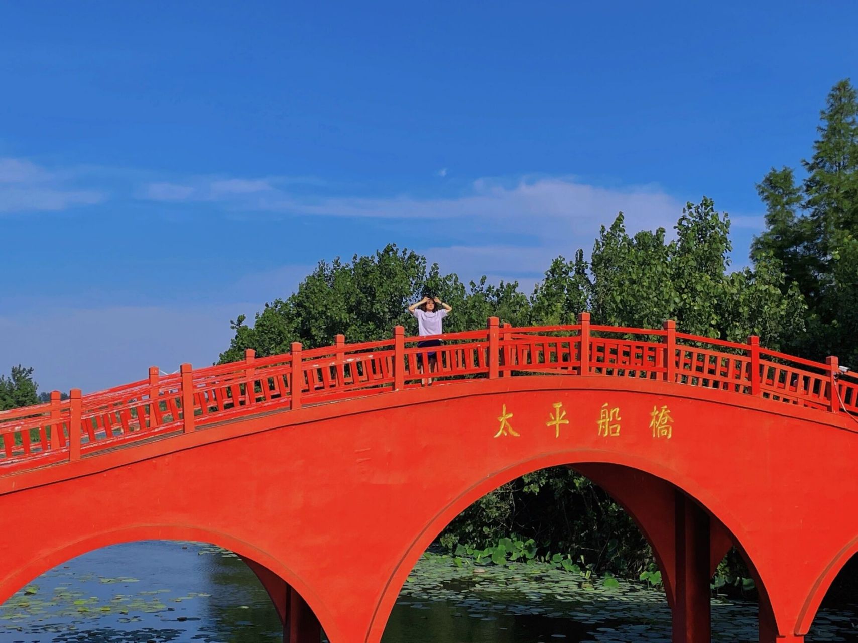 高邮一日游必去景点图片