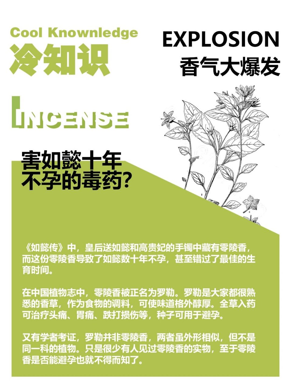 神秘芳香植物 小众香材零陵香 零陵香别名熏草(《山海经》),蕙草(《别