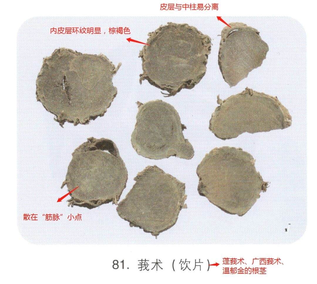 三棱莪术桃仁堕胎图片