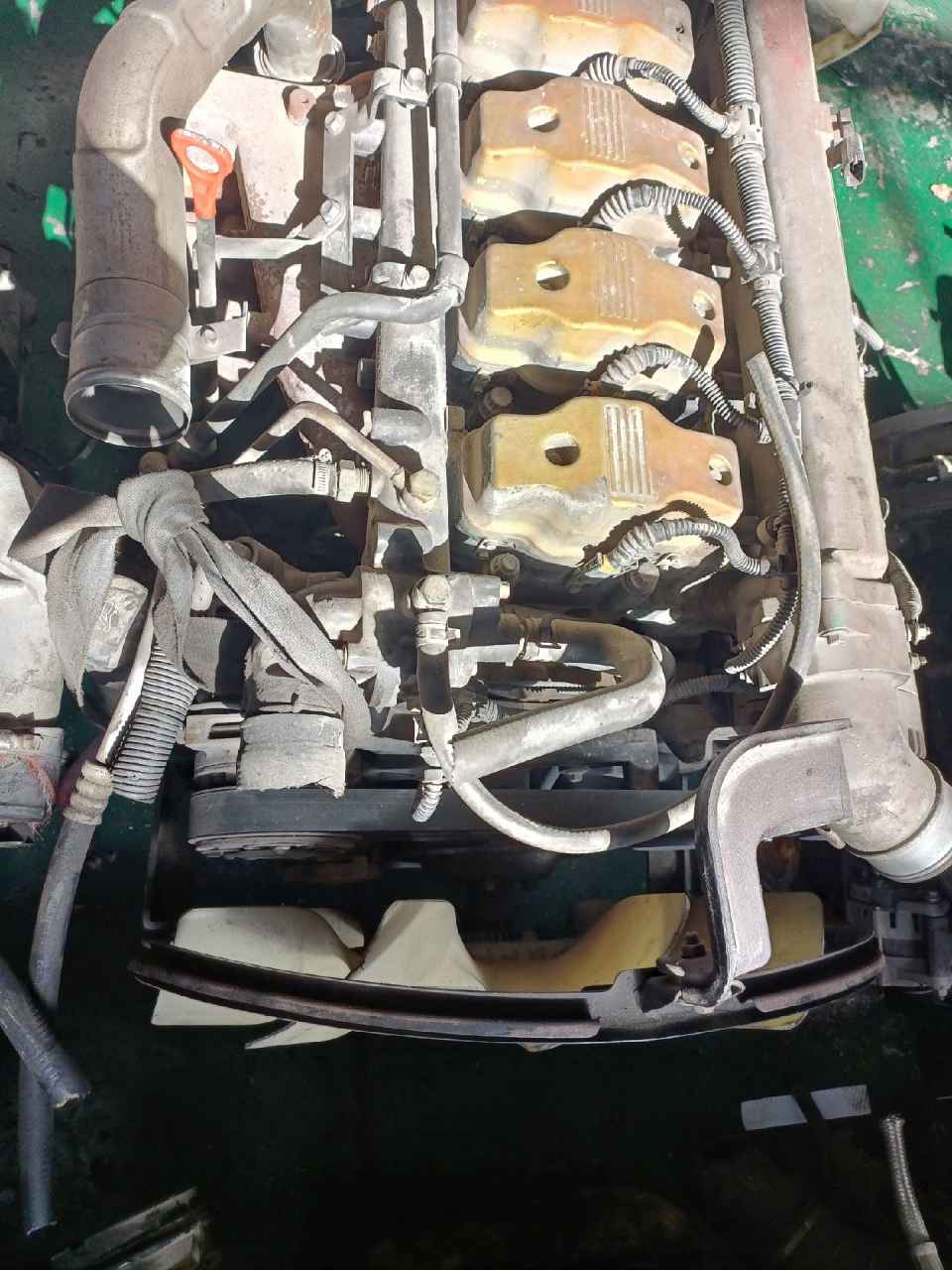 国四纳威司达原装精品