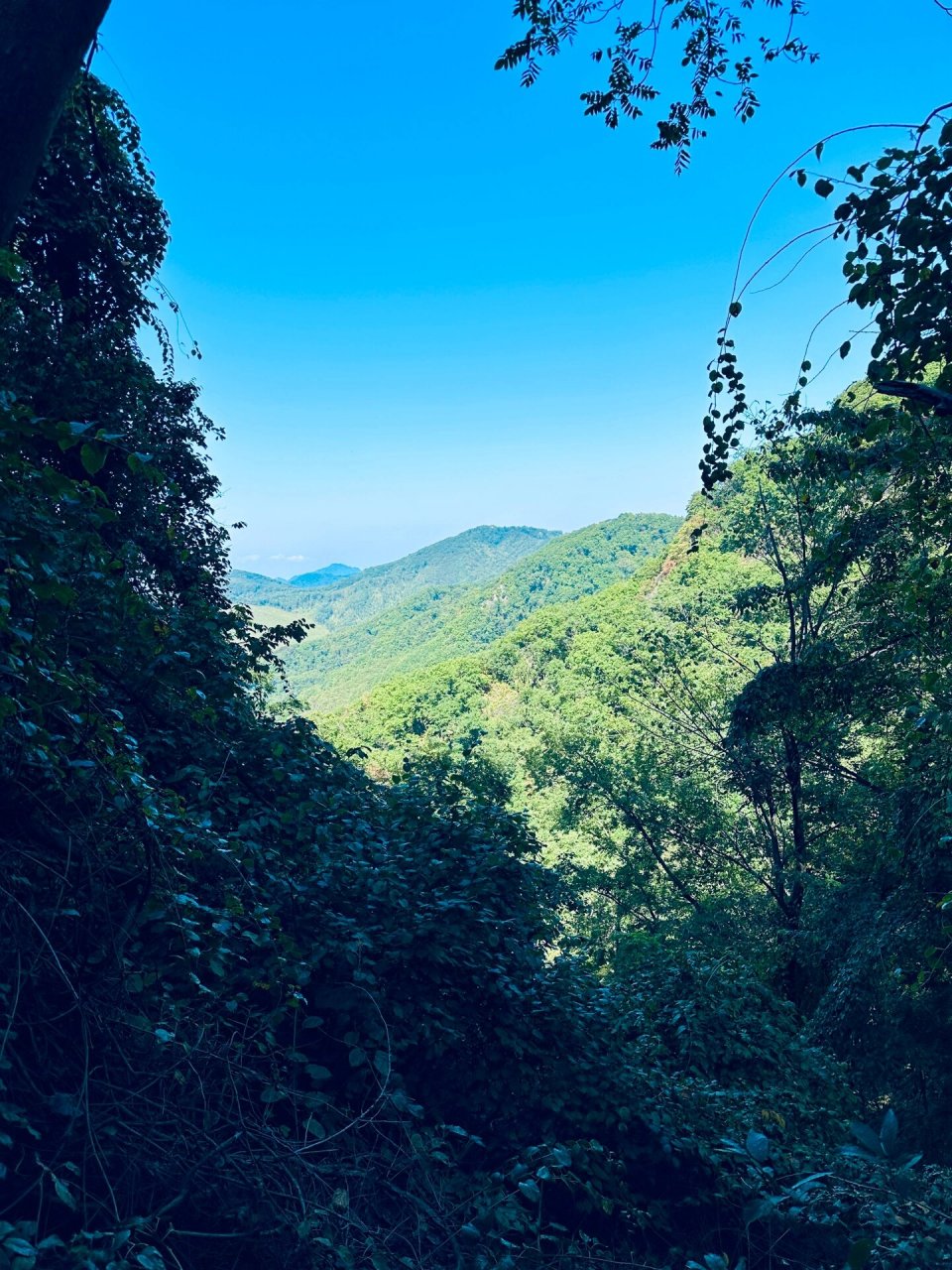 抚顺天女山风景区图片图片