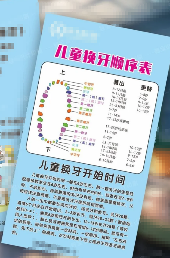 乳牙里的大牙指的是第一乳磨牙和第二乳磨牙