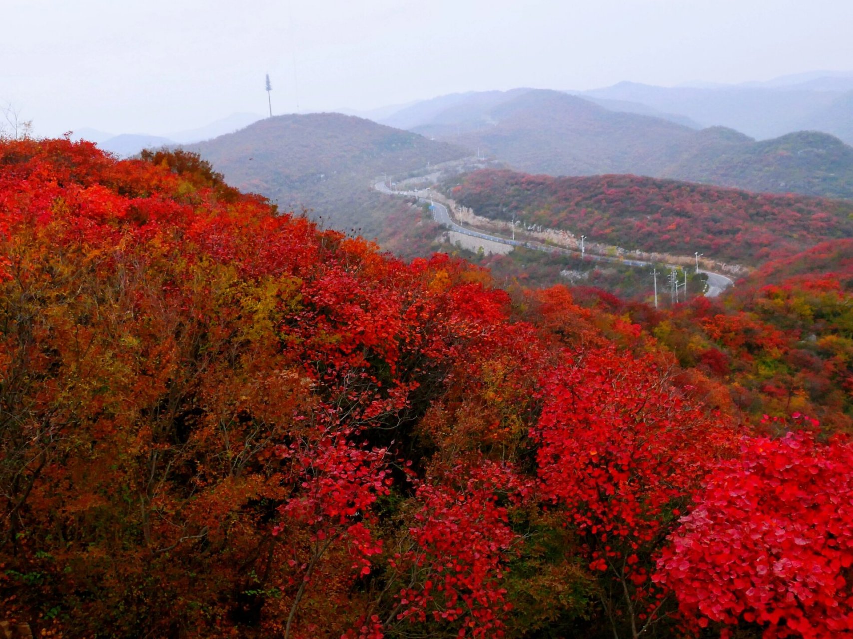 焦作 | 窄门峡谷,红叶飘飘