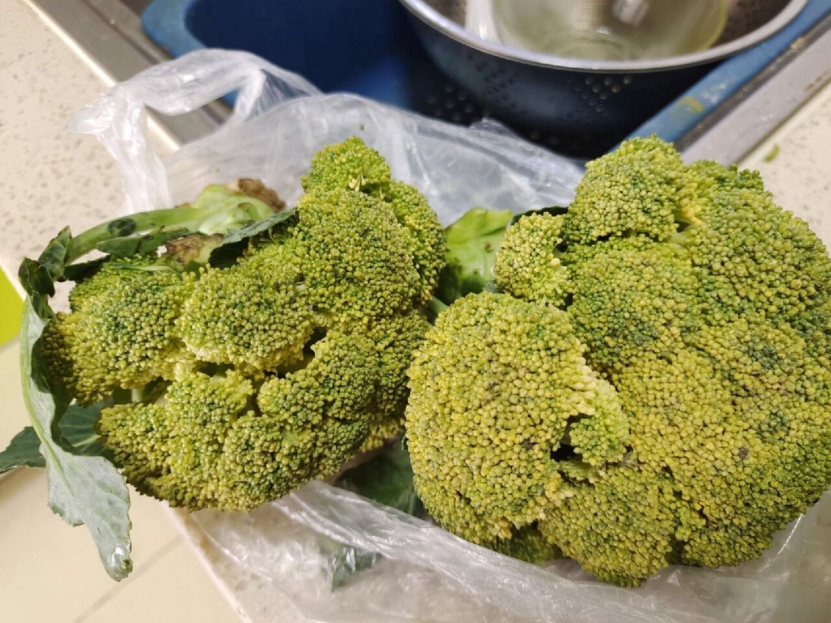 在线求救,西兰花变黄了还能吃吗 买来在冰箱放了快一星期,今天拿出来