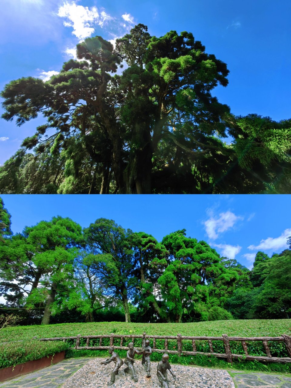 柳杉王公园 052.大梦书屋 053.麦先生厝 054.鼓岭老街 055.